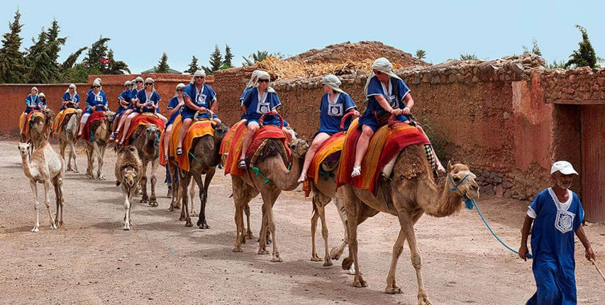 Marrakech, elytique , Excursions et tours